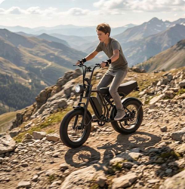 CityTrail Fat Tire E-Bike