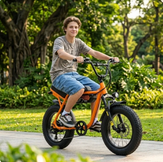 Brisa V101 Fat Tire E-Bike