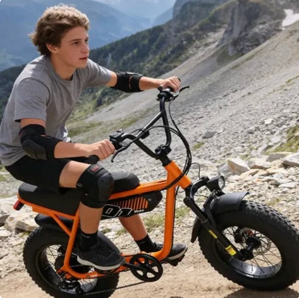 Brisa V101 Fat Tire E-Bike