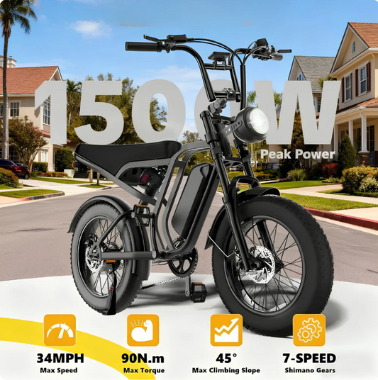 TAMOBYKE All-Terrain 1500W Peak Motor Electric Bike